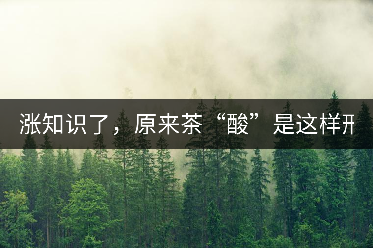 漲知識了，原來茶“酸”是這樣形成的！