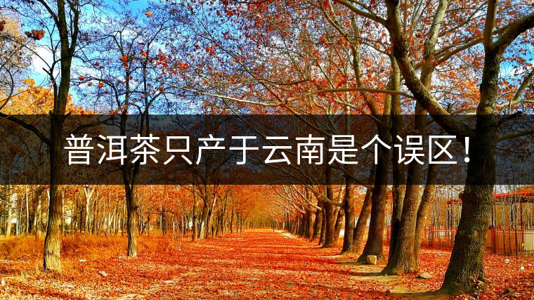普洱茶只產(chǎn)于云南是個誤區(qū)！
