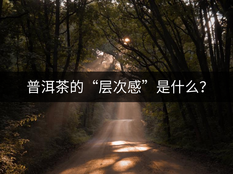 普洱茶的“層次感”是什么？