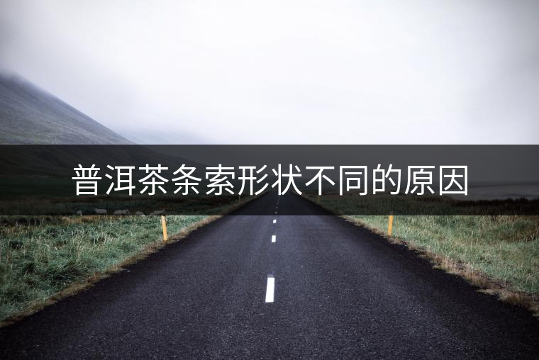 普洱茶條索形狀不同的原因 普洱茶條索形狀不同的原因