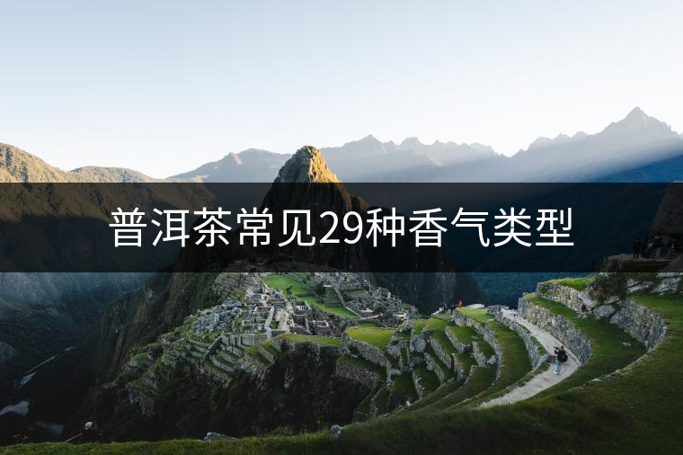 普洱茶常見29種香氣類型 普洱茶常見29種香氣類型