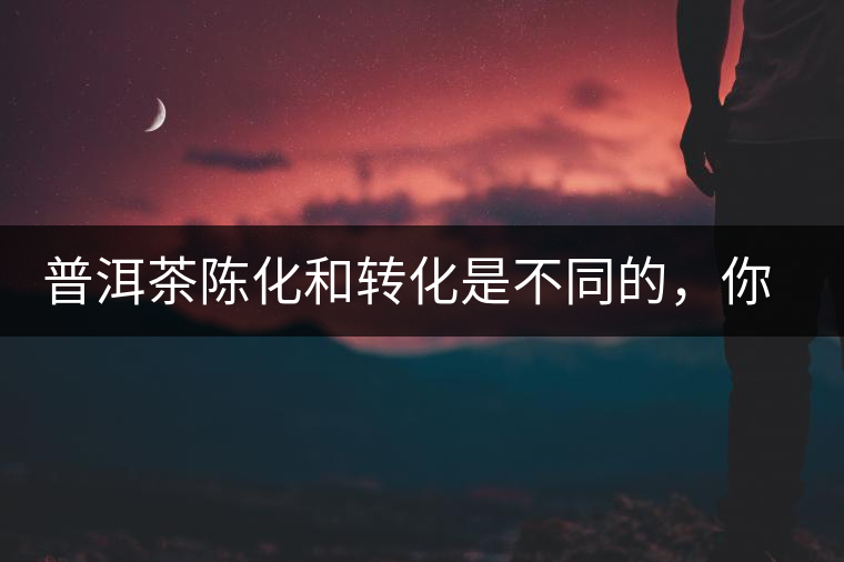 普洱茶陳化和轉(zhuǎn)化是不同的，你造嗎？