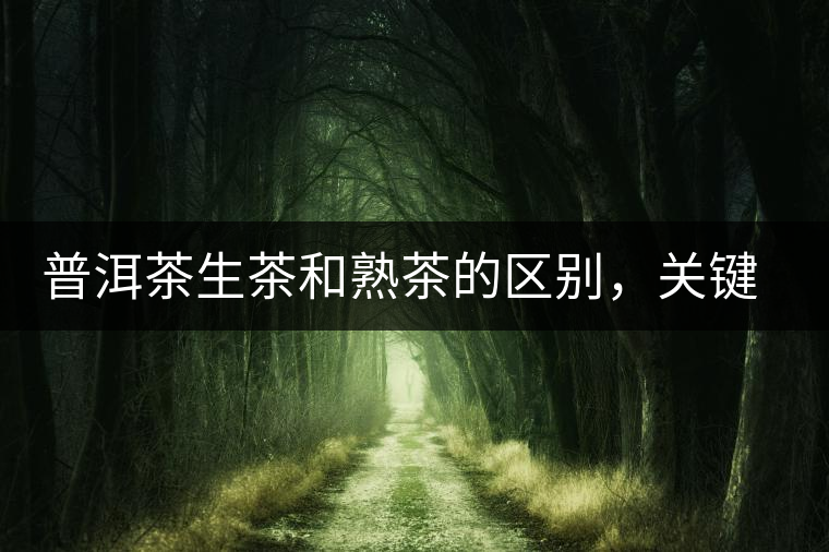 普洱茶生茶和熟茶的區(qū)別，關(guān)鍵在于前半生