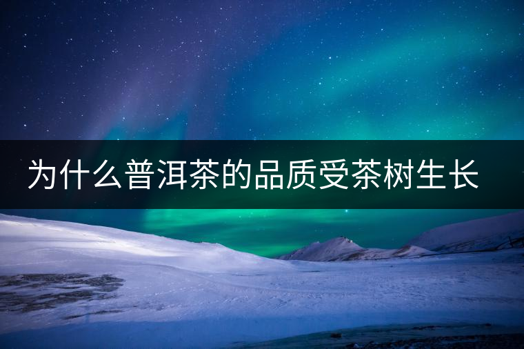 為什么普洱茶的品質(zhì)受茶樹生長環(huán)境的影響？