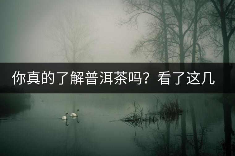 你真的了解普洱茶嗎？看了這幾個(gè)問題……