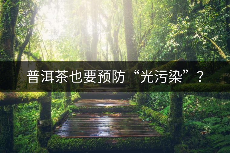 普洱茶也要預(yù)防“光污染”？