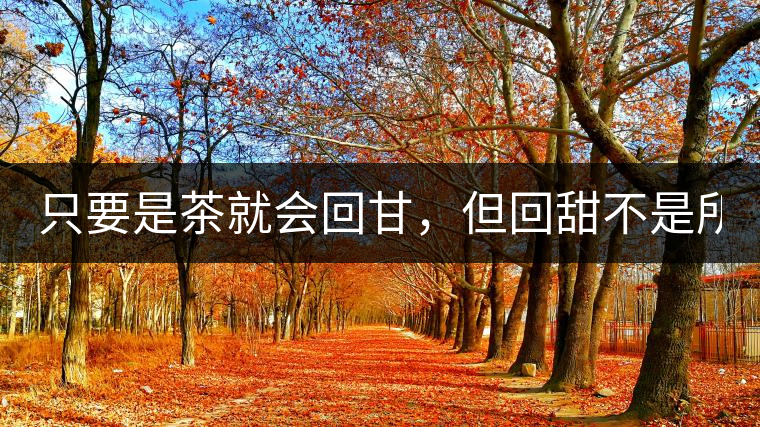 只要是茶就會回甘，但回甜不是所有茶都有！