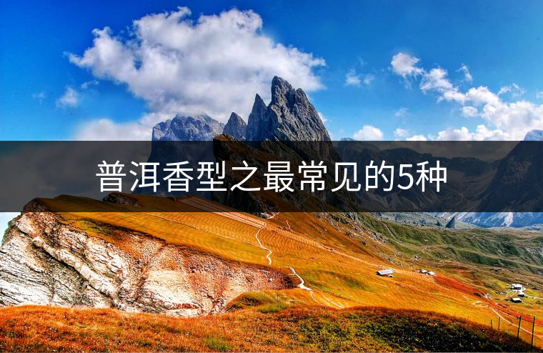 普洱香型之最常見(jiàn)的5種