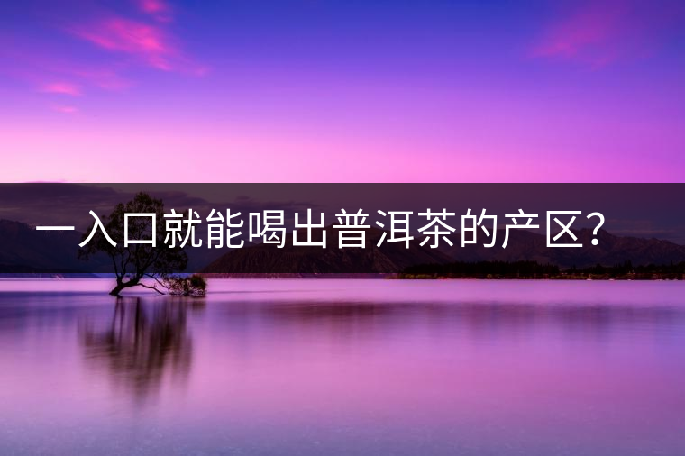 一入口就能喝出普洱茶的產(chǎn)區(qū)？怎么能不讀這篇文章呢？