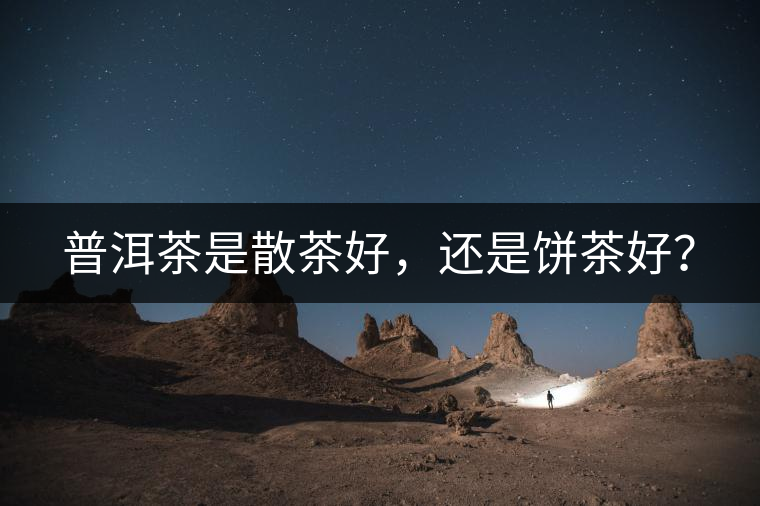 普洱茶是散茶好，還是餅茶好？