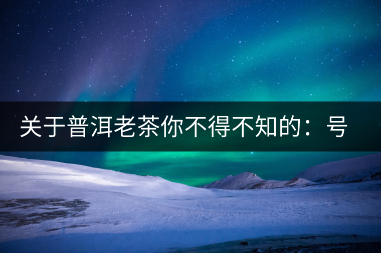 關(guān)于普洱老茶你不得不知的：號(hào)級(jí)茶、印級(jí)茶、七子餅茶