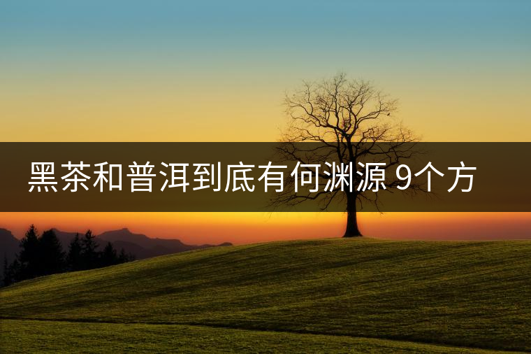 黑茶和普洱到底有何淵源 9個方面告訴你 黑茶和普洱到底有何淵源 9個方面告訴你