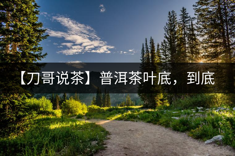 【刀哥說茶】普洱茶葉底，到底藏有多少玄機？