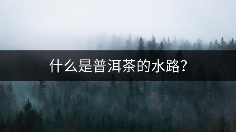 什么是普洱茶的水路？