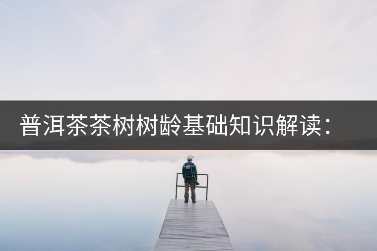 普洱茶茶樹樹齡基礎(chǔ)知識解讀：多大樹齡的茶才算古樹茶？