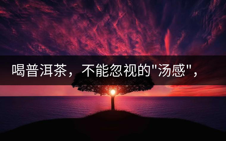 喝普洱茶，不能忽視的