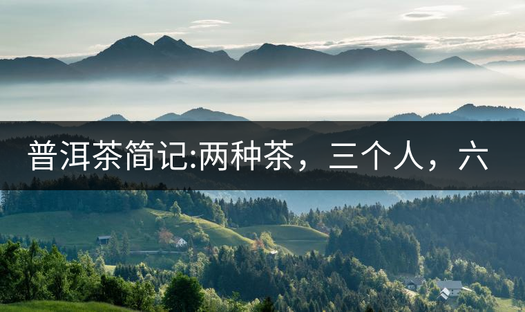 普洱茶簡(jiǎn)記:兩種茶，三個(gè)人，六座山，七塊餅