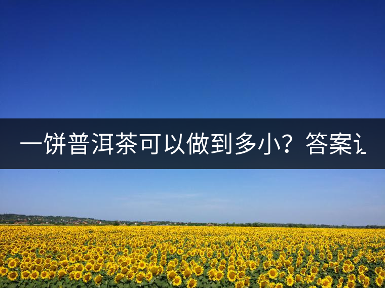 一餅普洱茶可以做到多??？答案讓人意想不到...