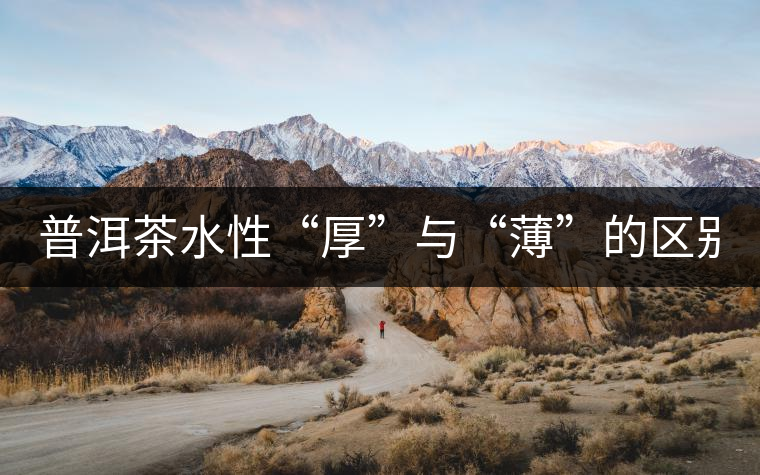 普洱茶水性“厚”與“薄”的區(qū)別！
