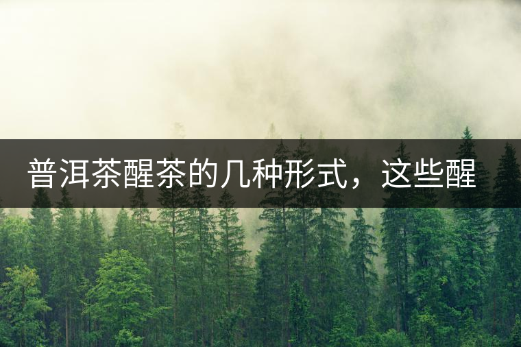 普洱茶醒茶的幾種形式，這些醒茶方法你都會了嗎？