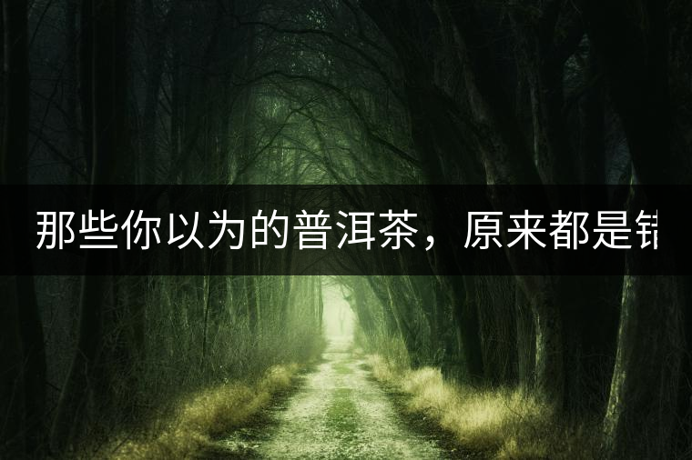 那些你以為的普洱茶，原來都是錯(cuò)的！