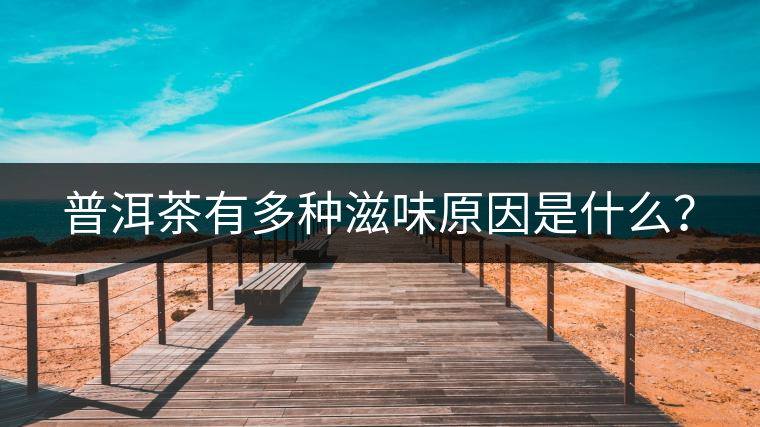 普洱茶有多種滋味原因是什么? 普洱茶有多種滋味原因是什么?