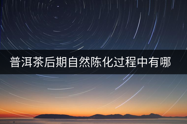 普洱茶后期自然陳化過程中有哪些變化？