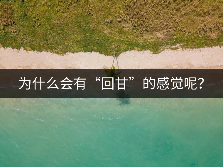 為什么會(huì)有“回甘”的感覺(jué)呢？