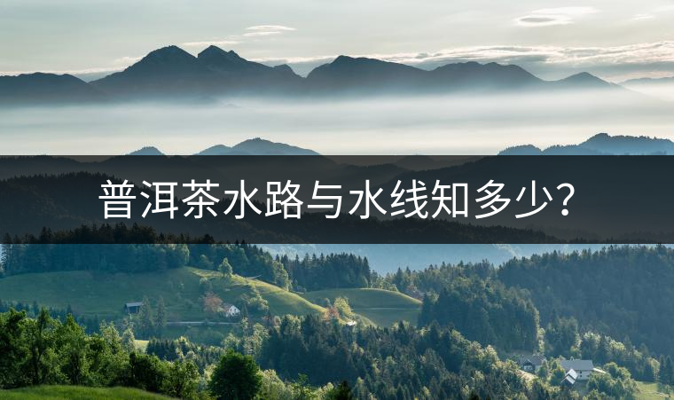 普洱茶水路與水線知多少？