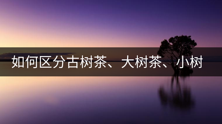 如何區(qū)分古樹(shù)茶、大樹(shù)茶、小樹(shù)茶、臺(tái)樹(shù)茶？
