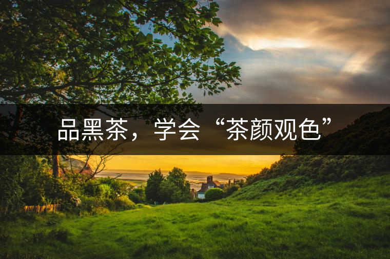 品黑茶，學(xué)會“茶顏觀色”