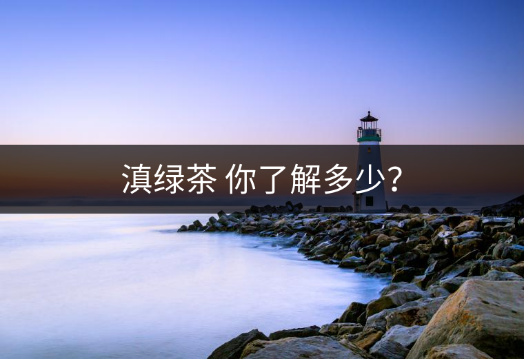 滇綠茶 你了解多少？