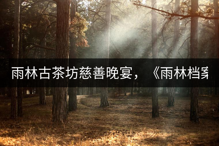 雨林古茶坊慈善晚宴，《雨林檔案·曼松》拍出106萬(wàn)！