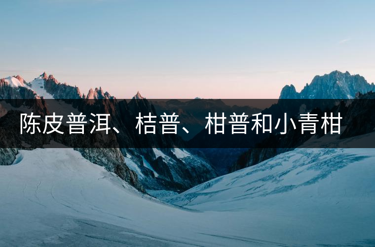 陳皮普洱、桔普、柑普和小青柑茶的分辨技巧