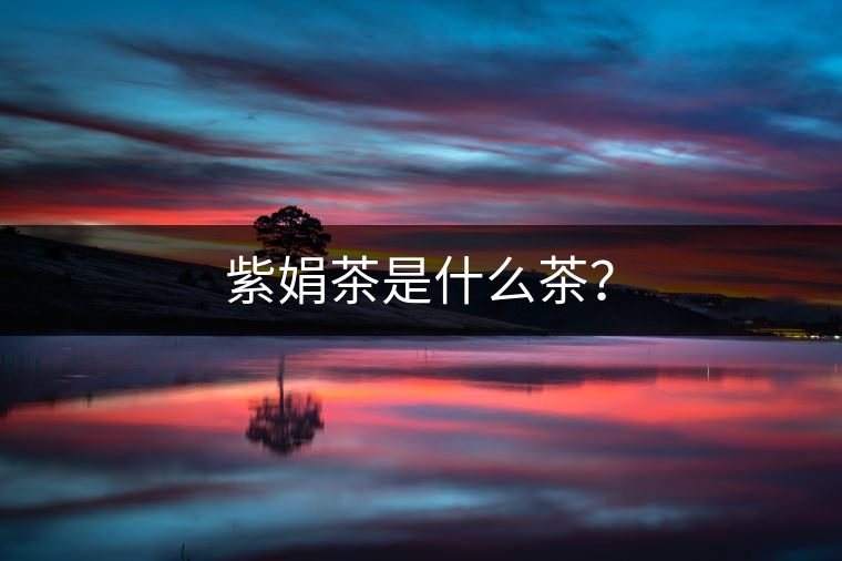 紫娟茶是什么茶？