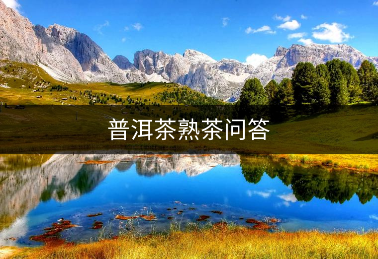 普洱茶熟茶問答 普洱茶熟茶問答