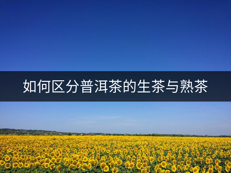 如何區(qū)分普洱茶的生茶與熟茶 如何區(qū)分普洱茶的生茶與熟茶