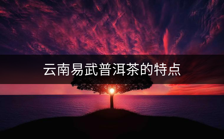 云南易武普洱茶的特點(diǎn)