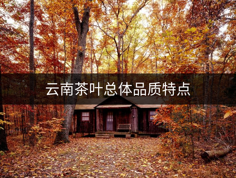 云南茶葉總體品質特點