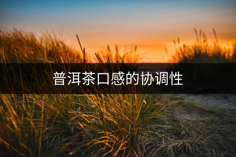 普洱茶口感的協(xié)調(diào)性 普洱茶口感的協(xié)調(diào)性