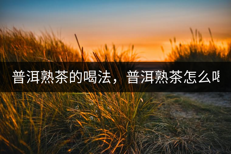 普洱熟茶的喝法，普洱熟茶怎么喝？