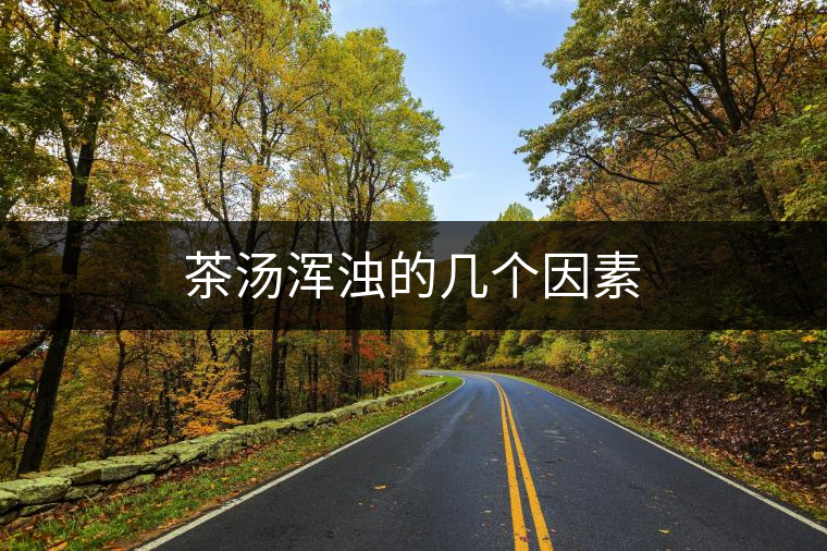 茶湯渾濁的幾個(gè)因素