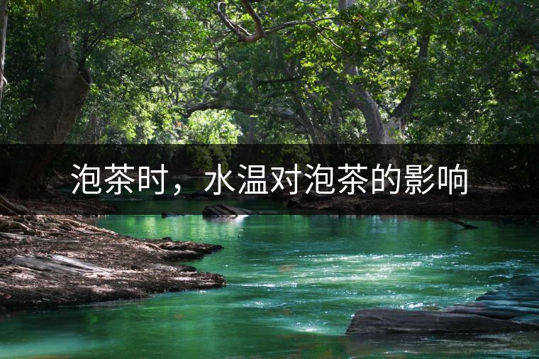 泡茶時，水溫對泡茶的影響