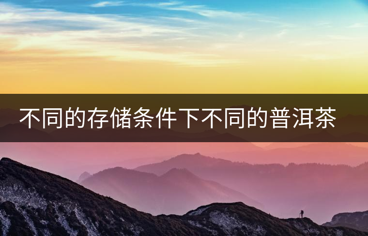 不同的存儲(chǔ)條件下不同的普洱茶倉(cāng)位解析 不同的存儲(chǔ)條件下不同的普洱茶倉(cāng)位解析