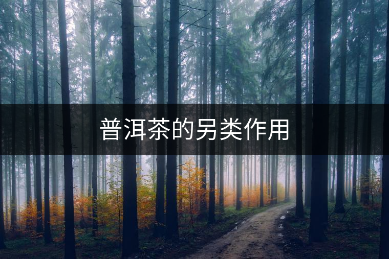 普洱茶的另類(lèi)作用