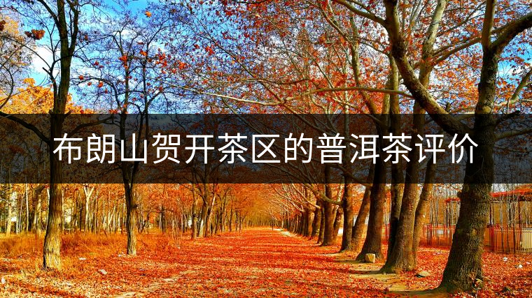 布朗山賀開茶區(qū)的普洱茶評價 布朗山賀開茶區(qū)的普洱茶評價