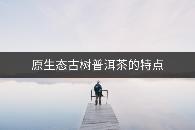 原生態(tài)古樹普洱茶的特點(diǎn)