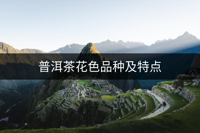普洱茶花色品種及特點(diǎn)