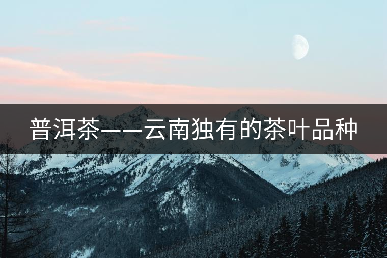 普洱茶——云南獨有的茶葉品種