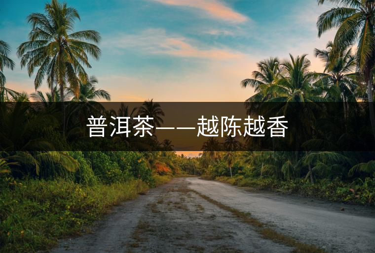 普洱茶——越陳越香 普洱茶——越陳越香